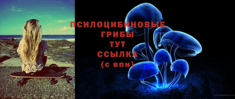 Галлюциногенные грибы Psilocybine cubensis  Артёмовский 